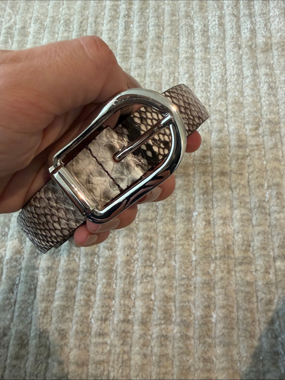 DEHANCHE Women's Snake-Texture Taupe Belt with Polished Silver Buckle